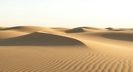 Expansive desert dunes under a pale sky.