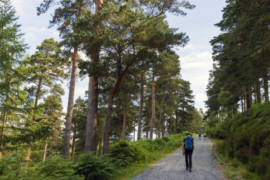 Backpacker hiking on the Wicklow way in Ireland near Glendalough