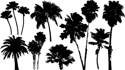 Tropical Palm Tree Silhouette Vector Set