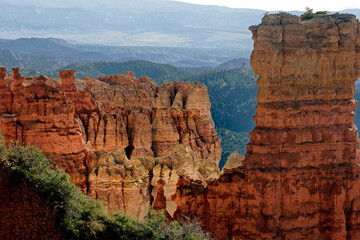 Pinnacle at Rainbow Point, Bryce Canyon Utah USA