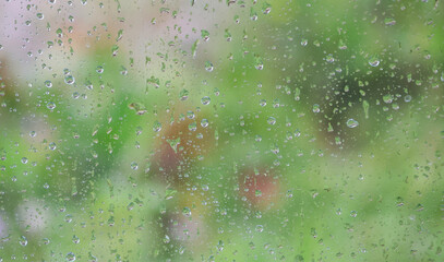 Raindrops on a window with blurred green foliage in background