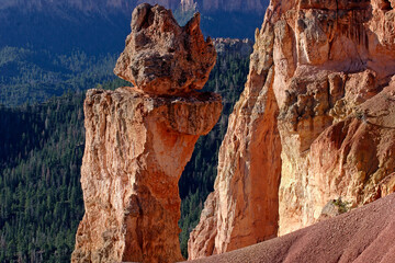 Pinnacle at Rainbow Point, Bryce Canyon Utah USA