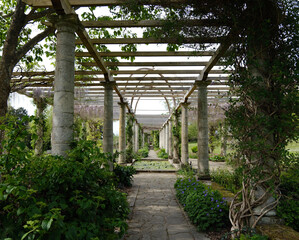 Pergola with arches and pillars in the lush green garden.