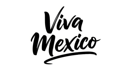 Black and white image featuring the calligraphic phrase viva mexico with a flourish underneath it