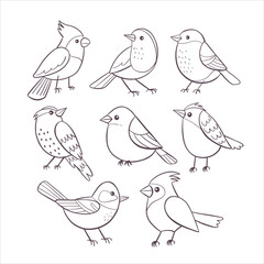 Cute birds. Hand-drawn bird collection in doodle line art style. Perfect for surface designs, prints, and crafting projects. Vector illustration.