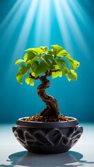 Illuminated Bonsai Tree in Ornate Pot Against Blue Backdrop