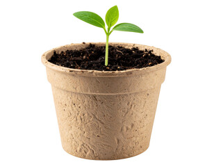  green plant in biodegradable pot isolated on white and transparent background
