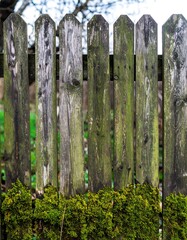 Aged wooden fence with moss