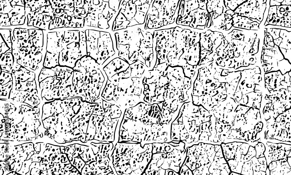 Poster black and white artwork featuring intricate geometric line art patterns and organic structures crack