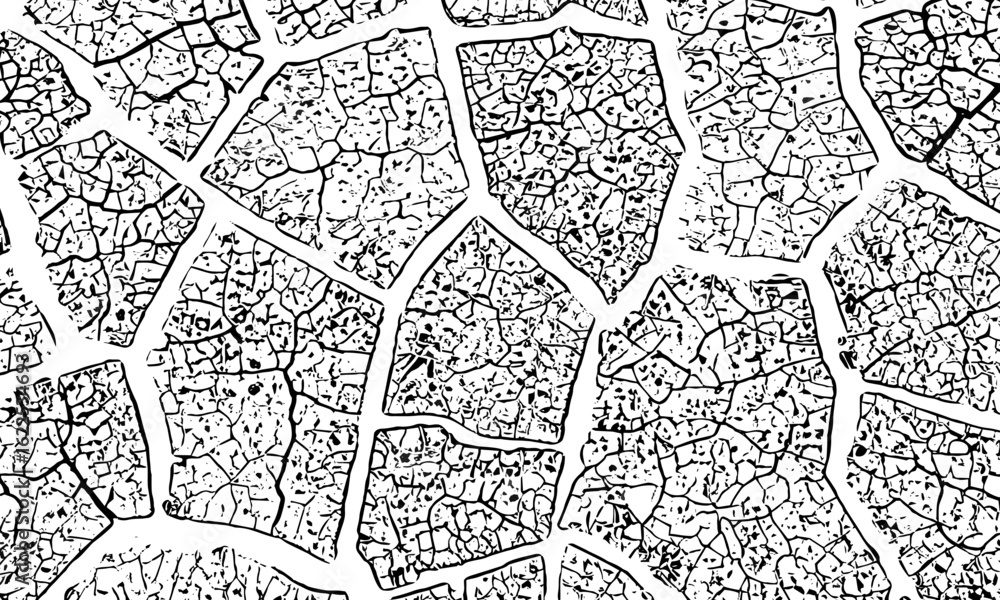 Poster black and white image of cracked surface with angular shapes and intersecting lines creativity and g