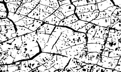 Detailed Black and White Abstract Pattern with Vein-Like Shapes image featuring a network of cracks and small black spots across  white surface.