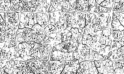 Obraz premium black and white artwork featuring intricate geometric line art patterns and organic structures cracked texture with a network lines and patterns creating a textured effect