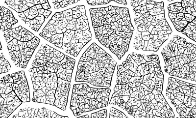 Obraz premium black and white image of cracked surface with angular shapes and intersecting lines creativity and graphic design.