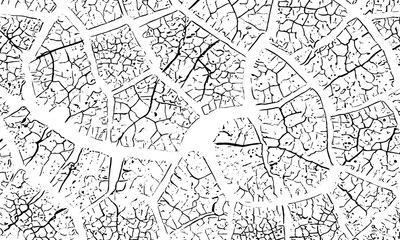 Obraz premium black and white image of cracked surface with angular shapes and intersecting lines creativity and graphic design.