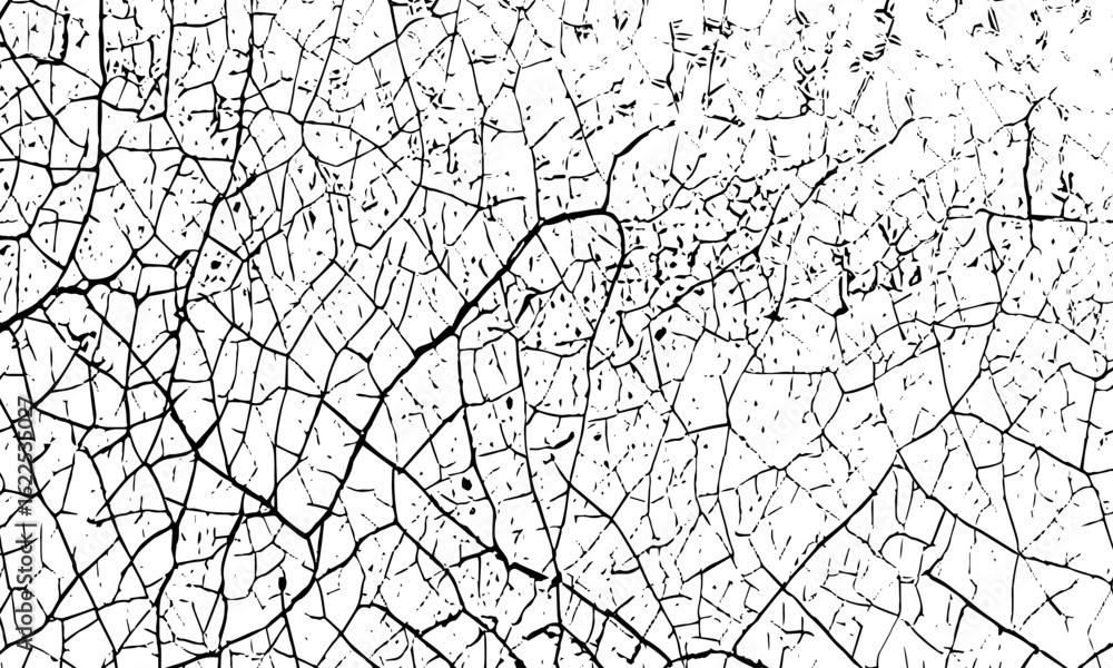 Poster black and white artwork featuring intricate geometric line art patterns and organic structures crack