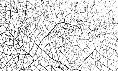  black and white artwork featuring intricate geometric line art patterns and organic structures cracked texture with a network lines and patterns creating a textured effect