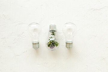 Light bulb with green plant, top view. Eco renewable energy concept.