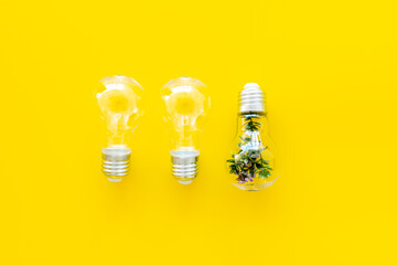 Light bulb with green plant, top view. Eco renewable energy concept.