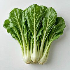Fresh Bok Choy Displayed on White Background for Healthy Eating