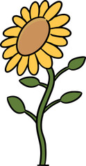Illustration of sunflower
