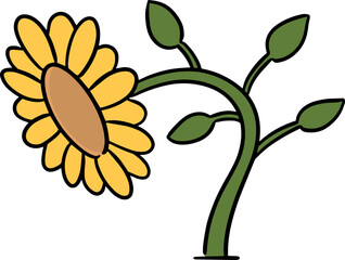 Illustration of sunflower
