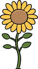 Illustration of sunflower
