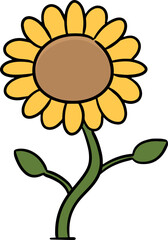 Illustration of sunflower
