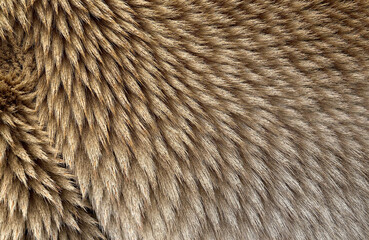 Textured fur in shades of brown with a swirling pattern  