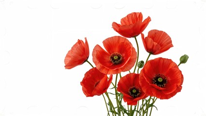 Naklejka premium Bright red poppy flowers set on a white corner of a sheet - Floral edging - flower ornament