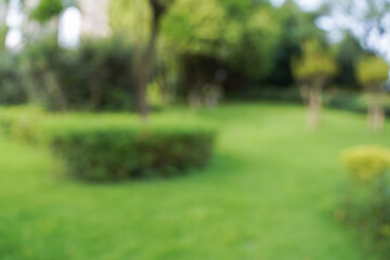 Nature city park garden blur bokeh background. Green nature for city life or save the earth concept.