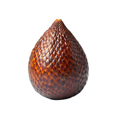 Single Salak Fruit with Scaly Brown Skin snake fruit