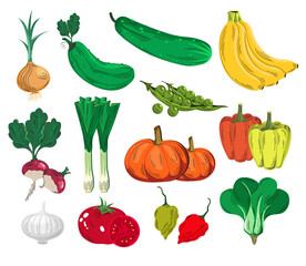 Vegetable 01