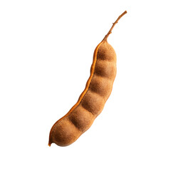 Single Tamarind Pod with Stem on Black fruit brown