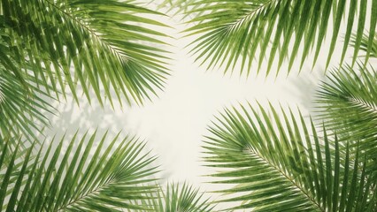 Palm leaf design setting. Concept related to holidaying in exotic areas