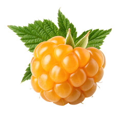 Single Yellow Cloudberry with Green Leaves Isolated