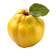 Single Yellow Quince Fruit with Green Leaf whole