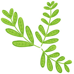 Green Leafy Branch Illustration