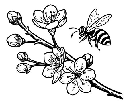 flower and bee vector transparent background
