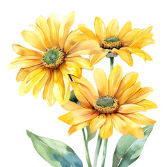 Watercolor Yellow Flowers Bouquet on transparent background