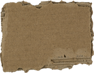 Brown textured cardboard piece with torn edges isolated on white background