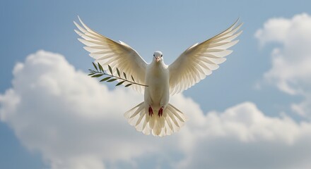 Fototapeta premium A white dove flies with outstretched wings, carrying an olive branch in its beak, against a blue sky with clouds.