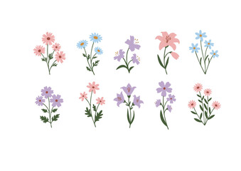 A charming collection of hand-drawn botanical flower illustrations. Set of ten minimalist floral bouquets in soft pastel colors.