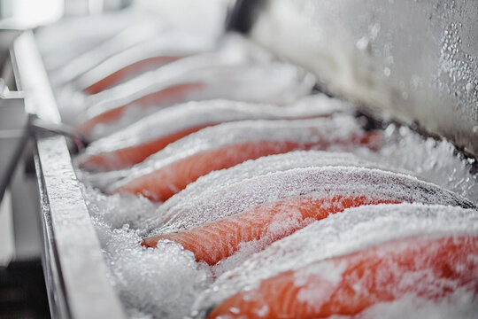 Fresh salmon fillets being processed for distribution Generative AI