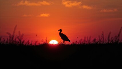 Twilight Landscape with Silhouetted Bird Against Warm Shades