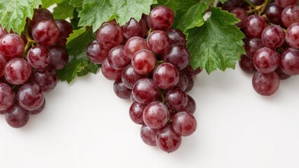 Fresh grape fruit with leafy accents on a clean white surface