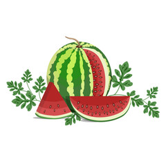 Watermelon still life,vector composition of a whole watermelon, slices and watermelon leaves.
