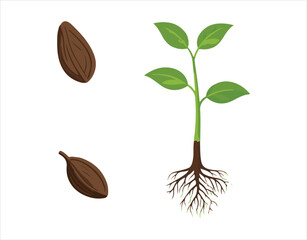Vector icon showing the growth stages of a tree, royalty-free


