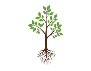 Tree Growing life cycle vector icon, royalty-free
