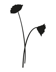 Bouquet of two wildflower silhouettes. Bunches of blooming perennial wild plants, minimal style. Botanical hand-drawn elements for design projects. Vector illustration