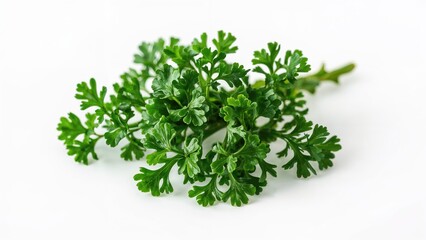 Fresh parsley foliage displayed against a clean white surface